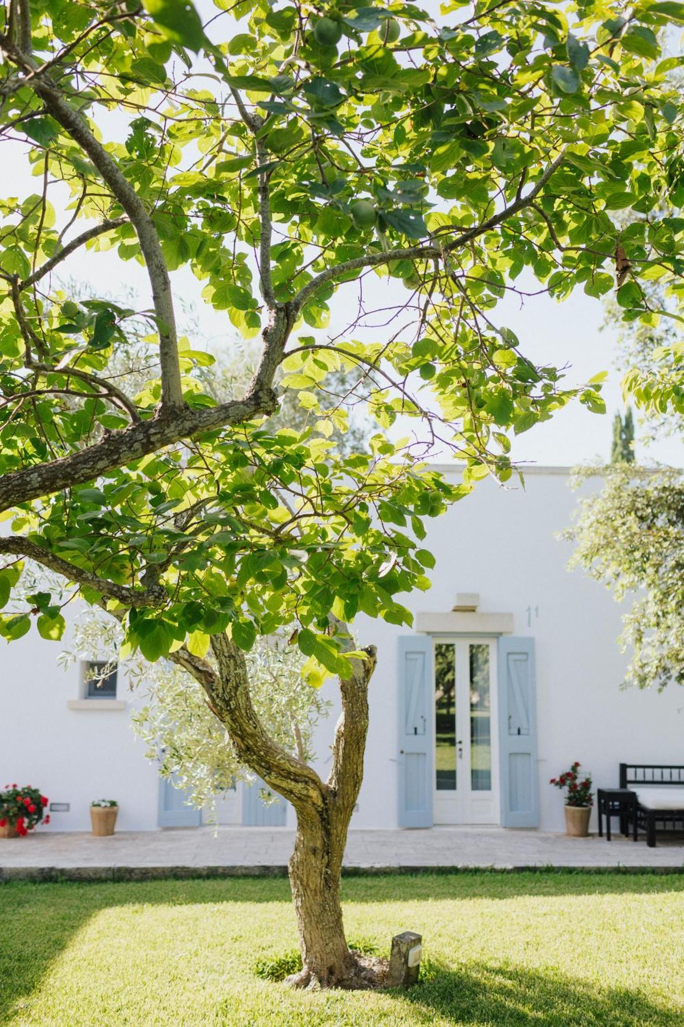 Masseria Montelauro Otranto Ngoại thất bức ảnh